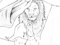 lion_cock.jpg